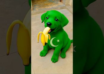 Choti ka chips dog 🐶 ne kha liya 😱🤣 #shortvideo #viralvideo #shortsfeed