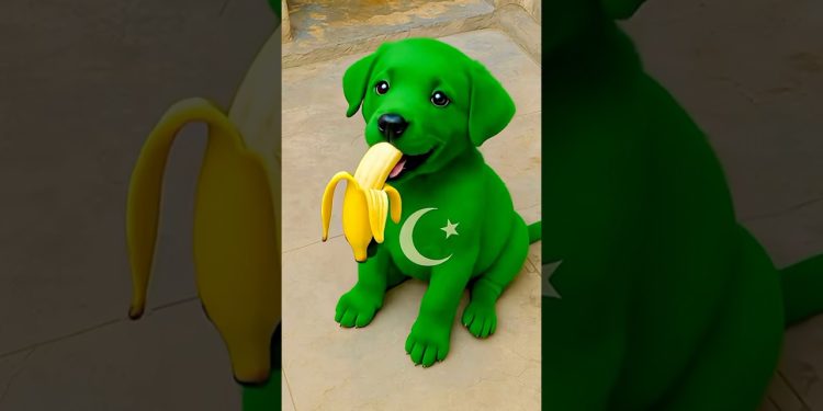 Choti ka chips dog 🐶 ne kha liya 😱🤣 #shortvideo #viralvideo #shortsfeed