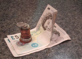 DIY Dog Toys: Fun and Affordable Projects for Bored Pooches