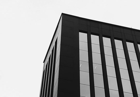 From Bark to Behave: Simple Techniques for Common Dog Issues From Bark to Behave: Simple Techniques for Common Dog Issues