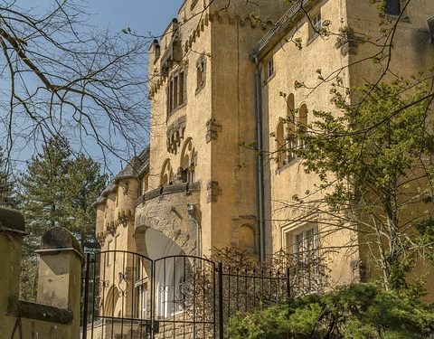 From Collar to Kitchen: A Comprehensive Guide to Puppy Essentials From Collar to Kitchen: A Comprehensive Guide to Puppy Essentials