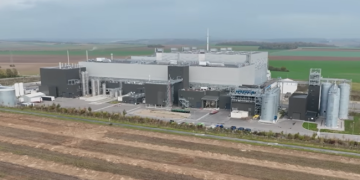 Groundbreaking footage of insect farm reveals major concerns