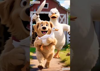 Happy day ,cute dog #dog #video #funny #shorts #shortvideo #happy #cute