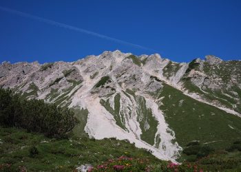 Health Matters: Routine Veterinary Care for Your Puppy