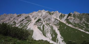 Health Matters: Routine Veterinary Care for Your Puppy