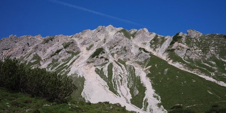 Health Matters: Routine Veterinary Care for Your Puppy Health Matters: Routine Veterinary Care for Your Puppy