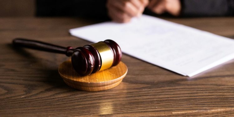 Litigation Strategies Against Factory Farming In Emerging Economies