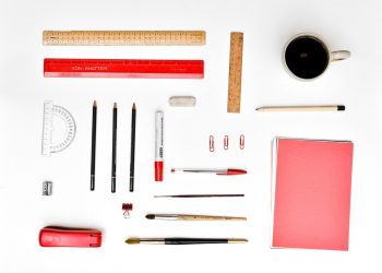 Playtime and Beyond: Engaging Activities for a Happy Puppy