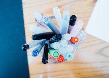 Puppy Love: Your Ultimate Guide to Nurturing Your New Furry Friend