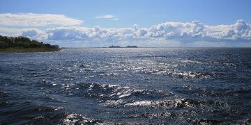 Socializing Your Puppy: Building Confidence and Friendliness