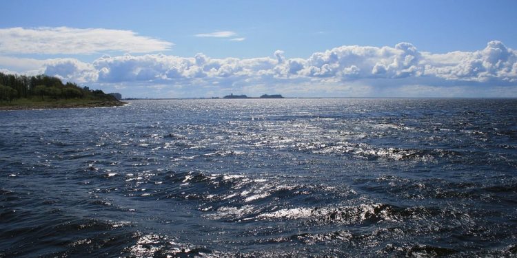 Socializing Your Puppy: Building Confidence and Friendliness Socializing Your Puppy: Building Confidence and Friendliness