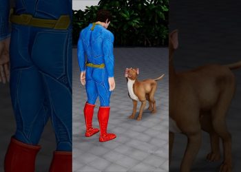 Superman vs Dog | When dog messed with superman