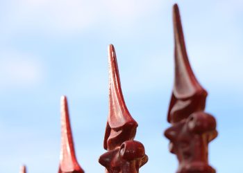 The ABCs of Puppy Care: Nutrition, Training, and Bonding