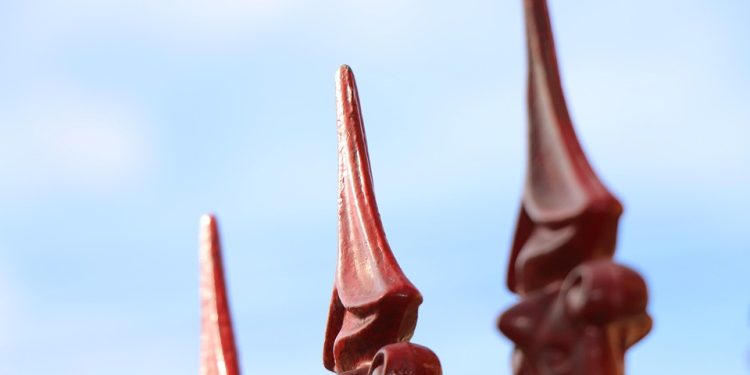 The ABCs of Puppy Care: Nutrition, Training, and Bonding