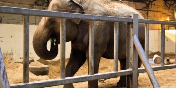 The Big Give Matched Funding Challenge The Big Give Matched Funding Challenge