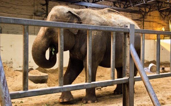 The Big Give Matched Funding Challenge The Big Give Matched Funding Challenge