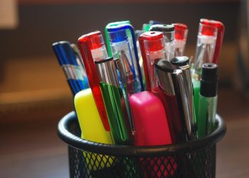 The Importance of Early Socialization: A Puppy’s Guide to the World