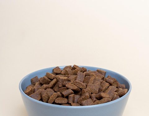 Transform Your Dog’s Behavior: Expert Tricks for a Well-Behaved Pup