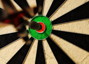 Traveling with Fido: Tips for Stress-Free Adventures