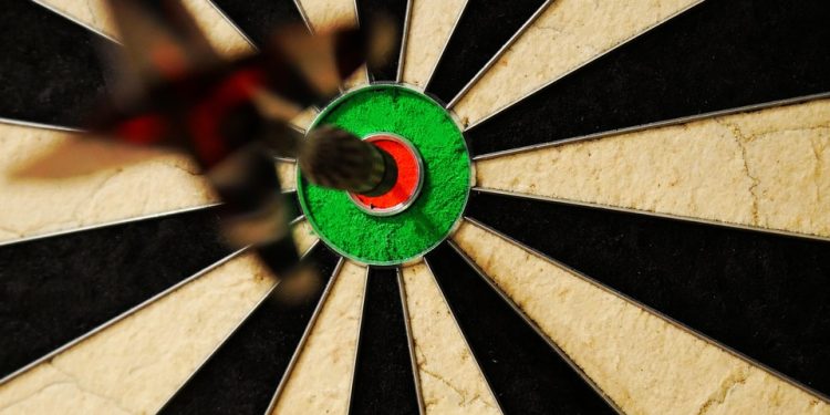 Traveling with Fido: Tips for Stress-Free Adventures