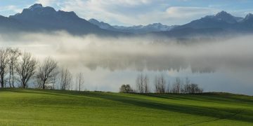 Understanding Dog Breeds: Choosing the Perfect Match for Your Lifestyle