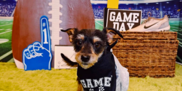Ways to Celebrate the Big Game with Your Dog Ways to Celebrate the Big Game with Your Dog