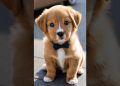 cutest puppy barking adorable video #dog #doglover #dogbarking #puppy #dogs #barking #dogsound