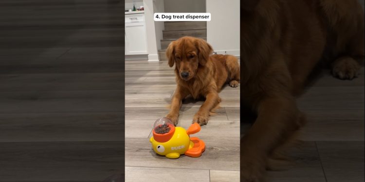 10 Things I Bought My DOGS #shorts #justicebuys #products