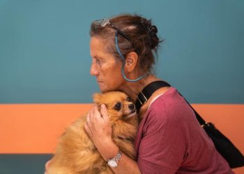 Call for lower taxes on veterinary care and pet food in Italy