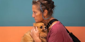 Call for lower taxes on veterinary care and pet food in Italy