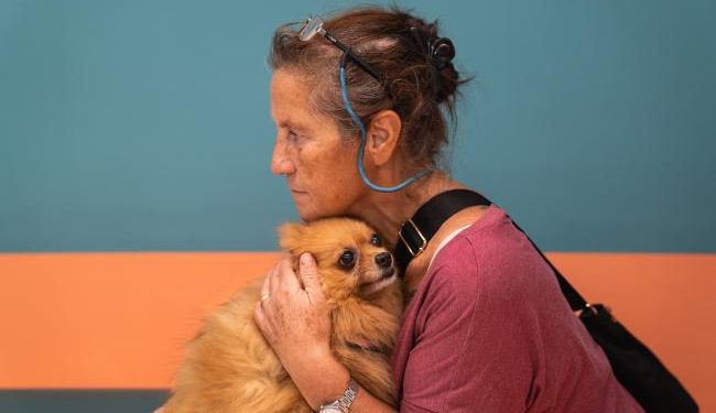 Call for lower taxes on veterinary care and pet food in Italy