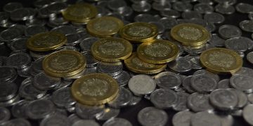 From Chew Toys to Potty Training: Must-Know Tips for New Puppy Owners From Chew Toys to Potty Training: Must-Know Tips for New Puppy Owners