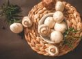 Great News! This Mushroom Company Helps Animals With One Move After PETA Push Great News! This Mushroom Company Helps Animals With One Move After PETA Push