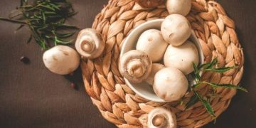 Great News! This Mushroom Company Helps Animals With One Move After PETA Push