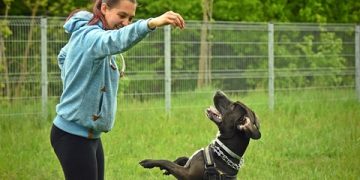 Healthy Puppy, Happy Home: Vital Tips for New Owners Healthy Puppy, Happy Home: Vital Tips for New Owners