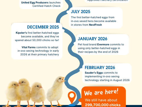 How Better-Hatched Eggs Made History