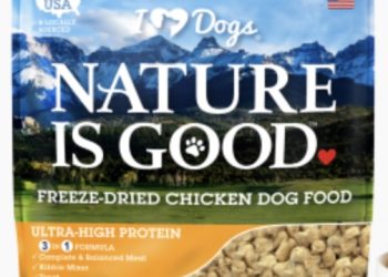 How Much Do You Feed a Husky