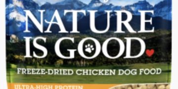 How Much Do You Feed a Husky