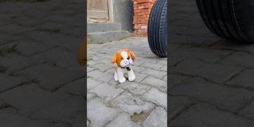 Karishma Ne dog ko bachaya 🐶😅 #short #trending