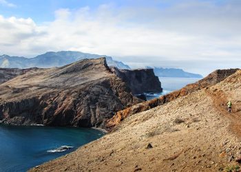 Mastering the Basics: Essential Commands for a Well-Trained Dog