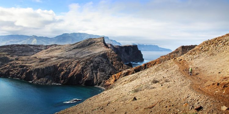 Mastering the Basics: Essential Commands for a Well-Trained Dog Mastering the Basics: Essential Commands for a Well-Trained Dog