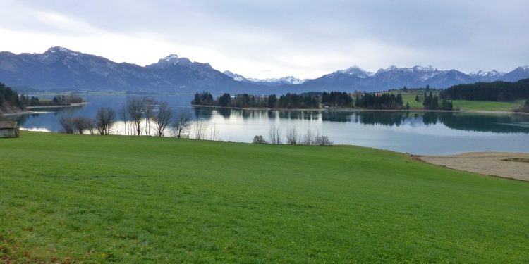 Nurturing Your New Best Friend: Key Care Tips for Puppies Nurturing Your New Best Friend: Key Care Tips for Puppies