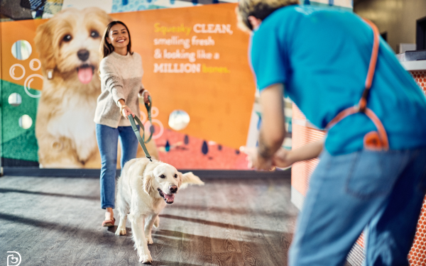 Reasons to Choose Dogtopia for Dog Boarding Reasons to Choose Dogtopia for Dog Boarding