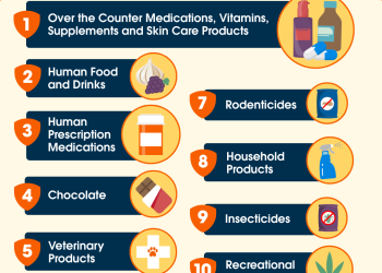 The Top 10 Toxins of 2025