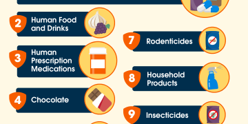 The Top 10 Toxins of 2025