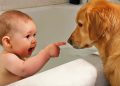 Ultimate Baby & Dog Moments: The Sweetest And Cutest Duo – Funny Babies Video || COOL PEACHY🍑
