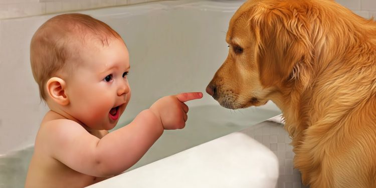 Ultimate Baby & Dog Moments: The Sweetest And Cutest Duo – Funny Babies Video || COOL PEACHY🍑