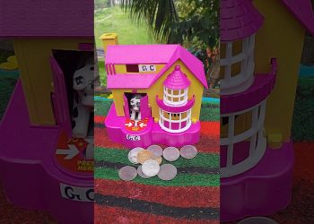 dog videos for dogs to watch #shortsfeed #shorts #trending ||