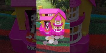 dog videos for dogs to watch #shortsfeed #shorts #trending ||