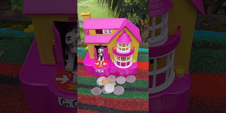 dog videos for dogs to watch #shortsfeed #shorts #trending ||